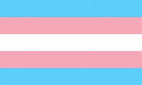 Transgender Tricolor Flag